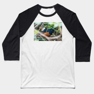 White-rumped shama Baseball T-Shirt